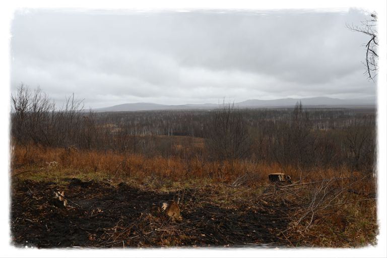 ������� ����� - 2025